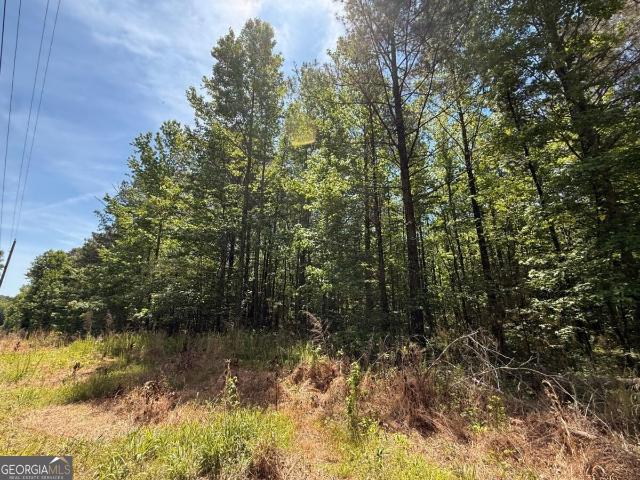 Land for sale in Bremen, Carroll County