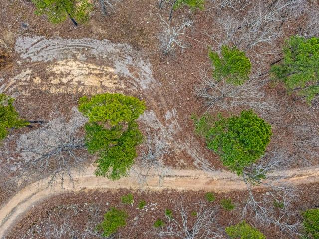 Land for sale in Willow Springs, Missouri