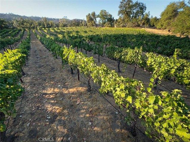 Land for sale in Mariposa, California