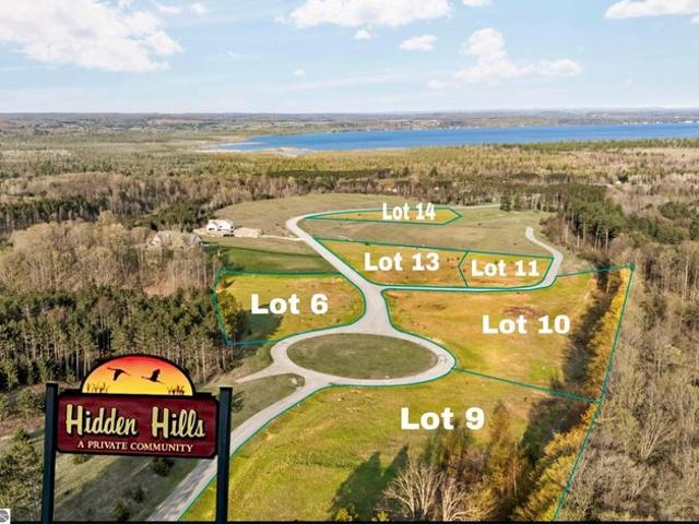 Land for sale in Alden, Michigan