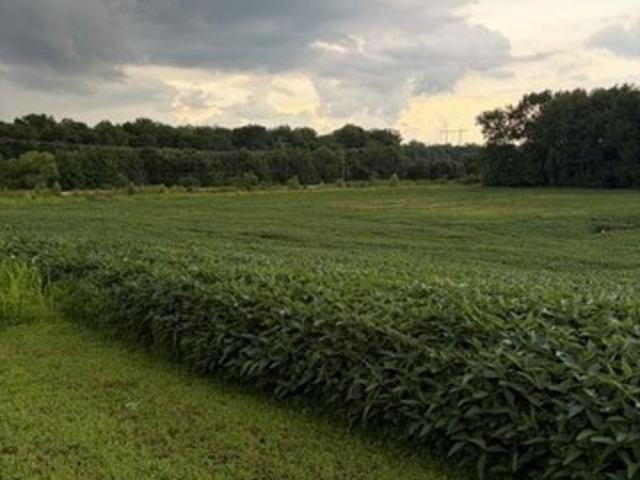 Farm for sale in Robards, Kentucky