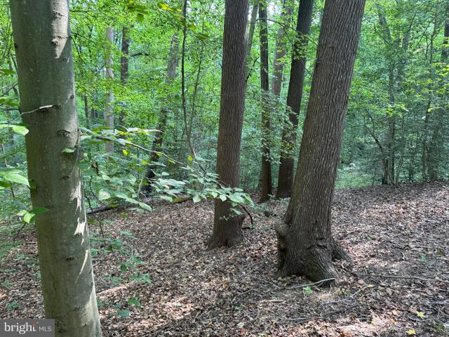 Land for sale in Chesapeake Beach, Maryland