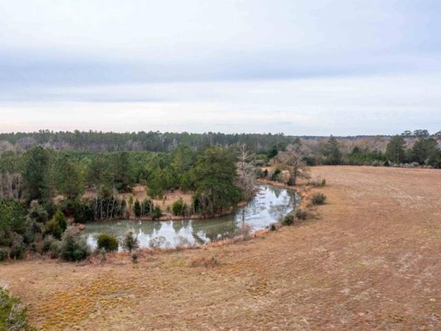 Farm for sale in Kinder, Louisiana