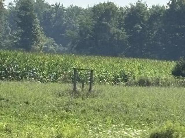 Farm for sale in Bayham, Ontario