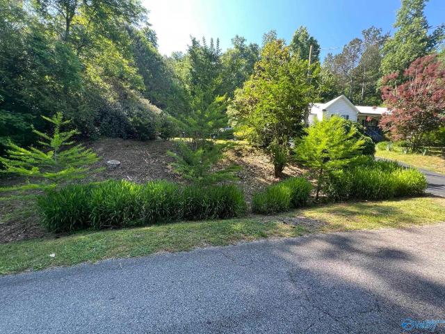 House for sale in Guntersville, Alabama