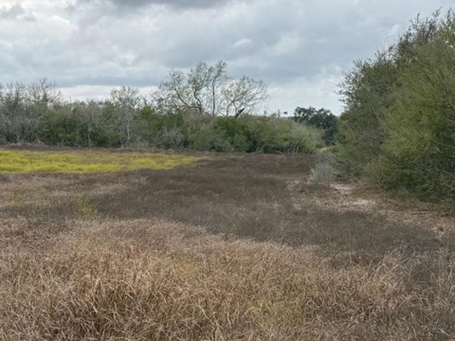 Farm for sale in Runge, Texas