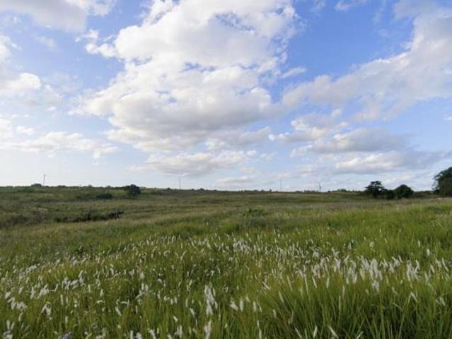 Land for sale in Princess Grant, Kwazulu-natal