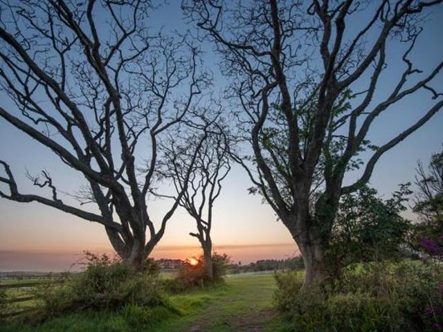 Land for sale in Princess Grant, Kwazulu-natal