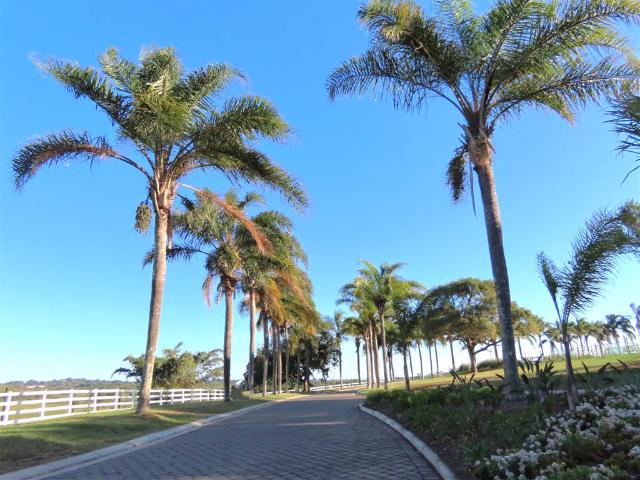 Land for sale in Princess Grant, Kwazulu-natal