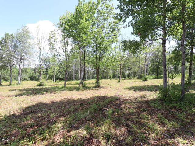 Land for sale in Delanson, New York