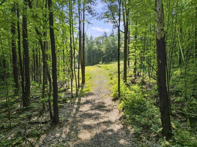 Land for sale in Bennington, Vermont