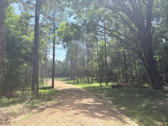 Land for sale in Morton, Mississippi