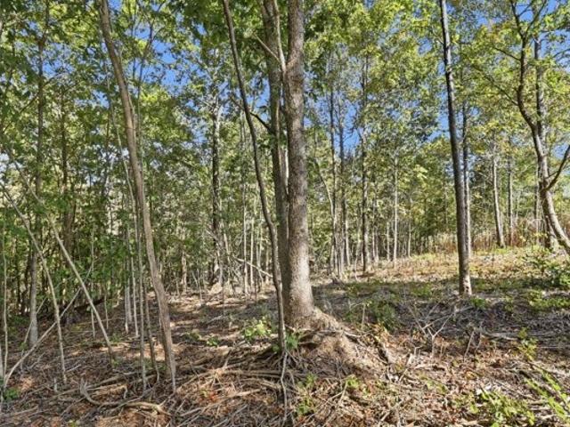 Land for sale in Dover, Middle Tennessee