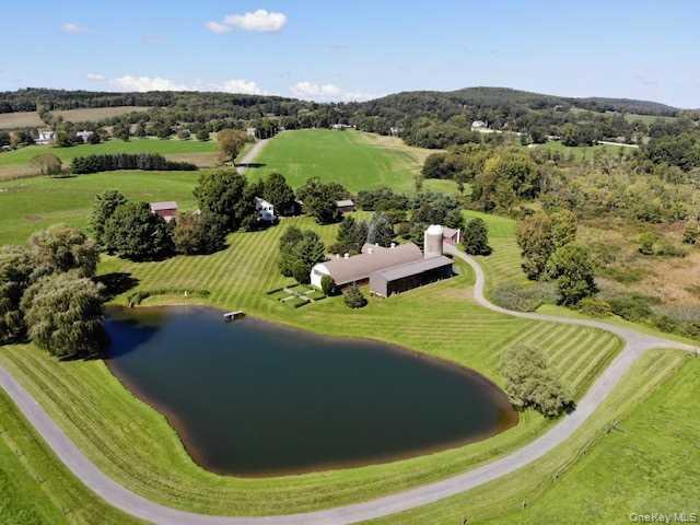 House for sale in Pine Plains, New York