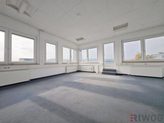 Gewerbe mieten in Wiener Neudorf, Niederösterreich