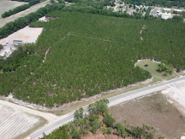 Land for sale in Pierce, Georgia