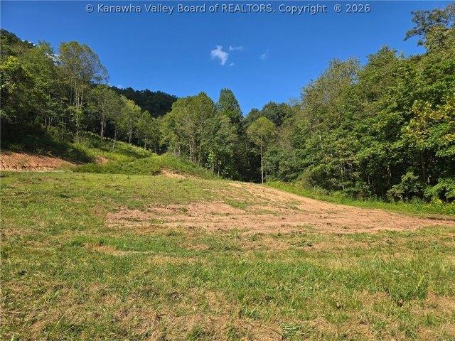 Land for sale in Reedy, West Virginia