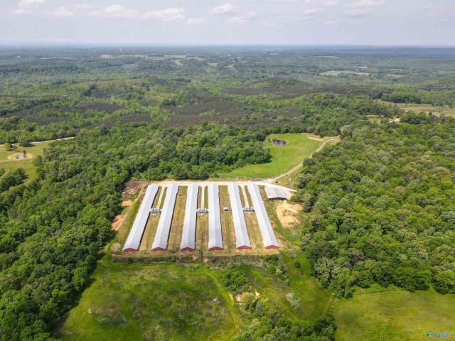 Commercial for sale in Courtland, Alabama