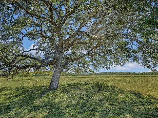 Farm for sale in Hays, Texas