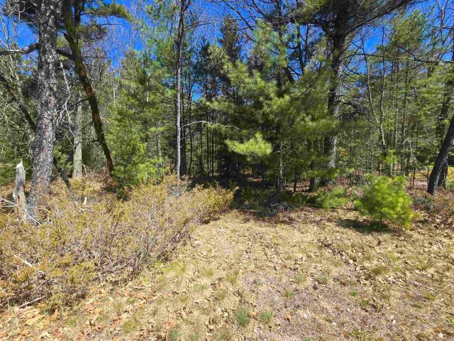 Land for sale in Au Sable Township, Iosco County