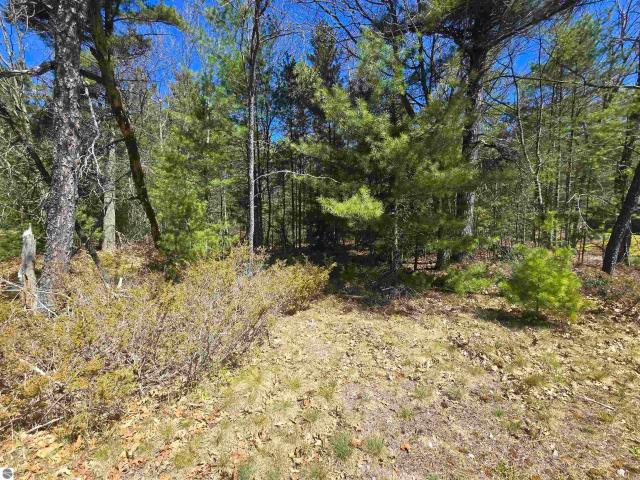 Land for sale in Au Sable Township, Iosco County