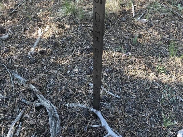 Land for sale in Lake George, Colorado
