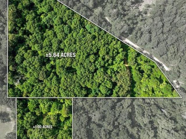 Land for sale in Rusk, Texas