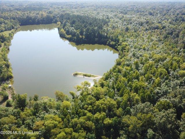 Land for sale in Pearl, Mississippi