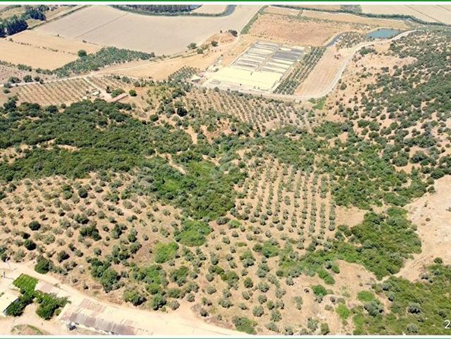 Didim, Aydin içerisinde satılık Arsa