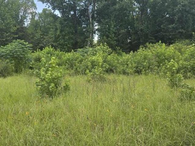 Land for sale in Smith, Texas