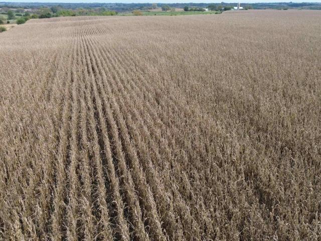 Farm for sale in Chariton, Iowa