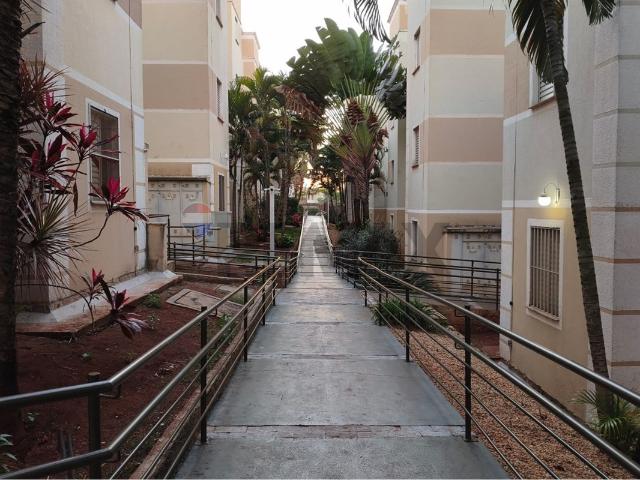 Apartamento aluguel em Ribeirão Preto