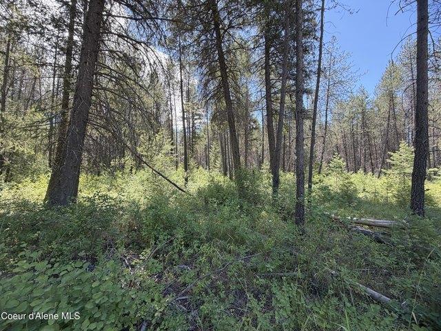 Land for sale in Priest River, Bonner County