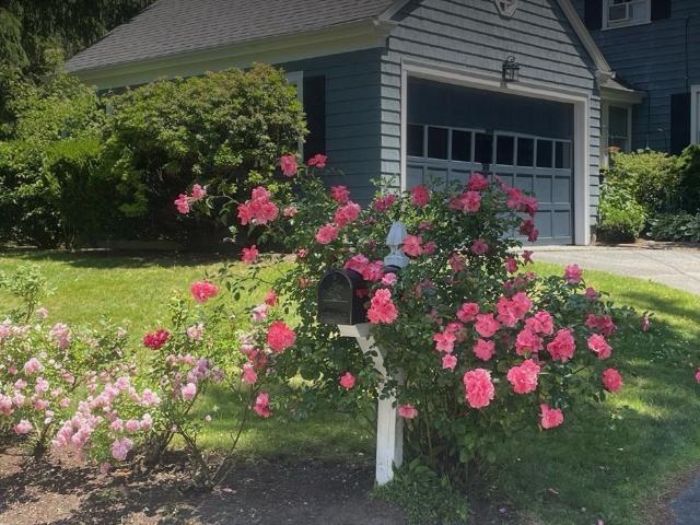 Property for rent in Barrington, Rhode Island