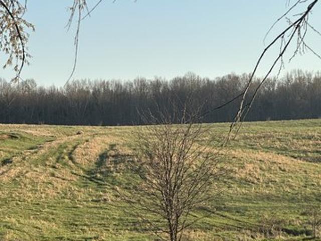 Farm for sale in Tennessee