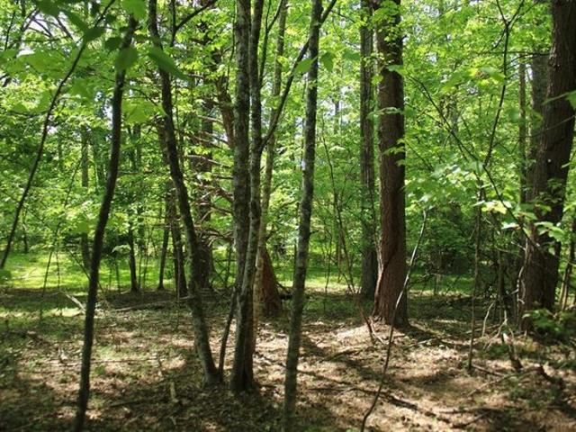 Land for sale in Hayesville, Clay County