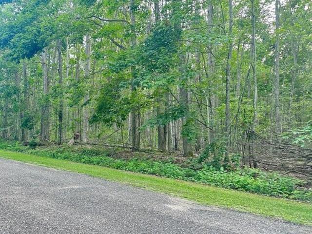 Land for sale in Elmira, Michigan