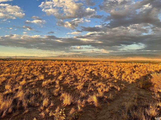 Land for sale in Belen, Valencia County