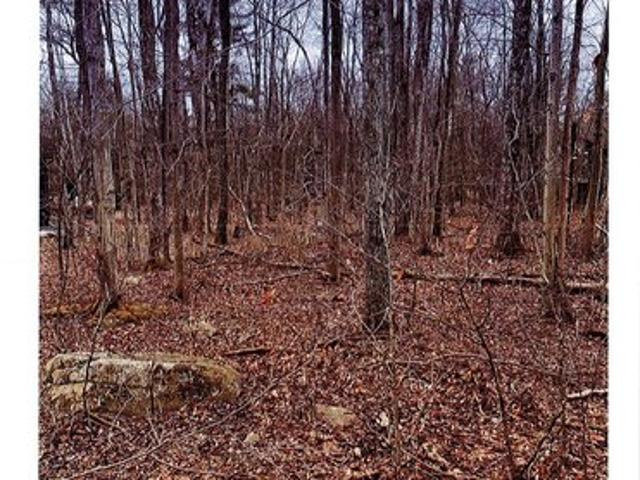 Land for sale in Blakeslee, Pennsylvania