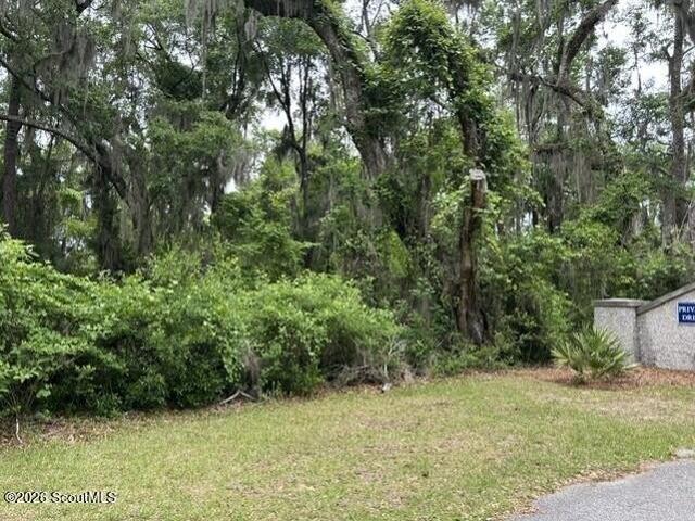 Land for sale in Darien, McIntosh County