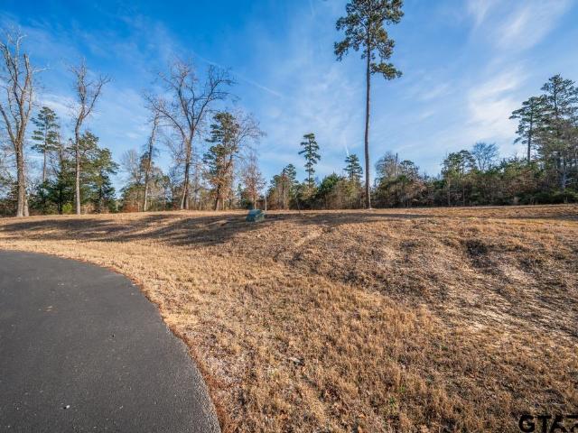 Land for sale in Harrison, Texas