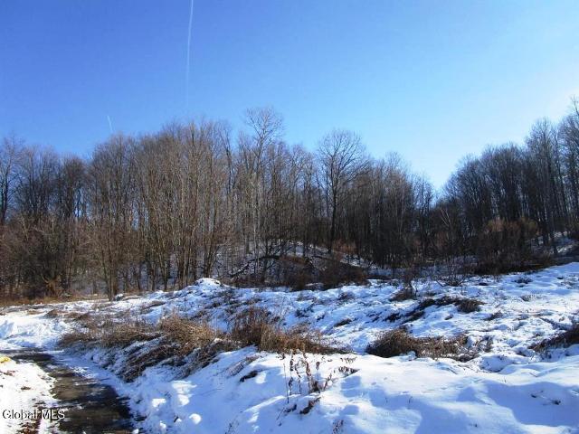Land for sale in Mohawk, New York