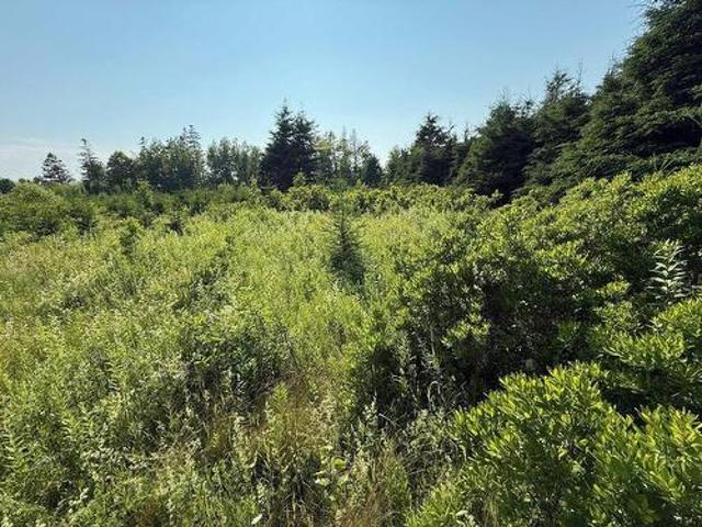 Land for sale in Prince, Prince Edward Island