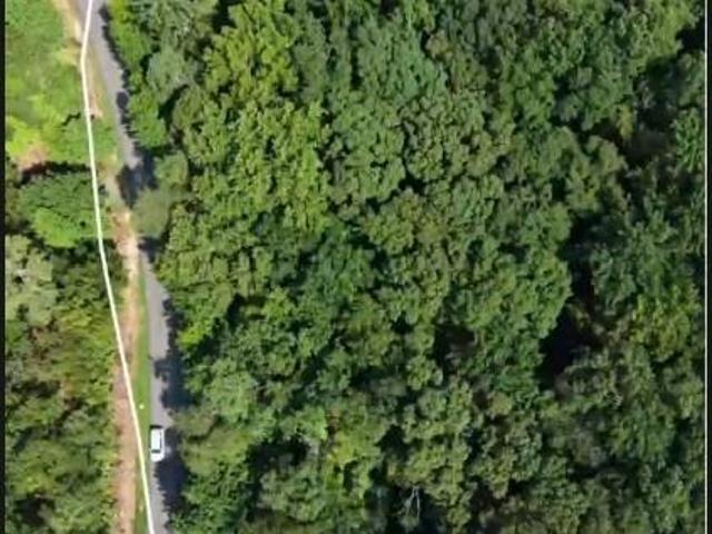 Land for sale in Emerson, Bartow County