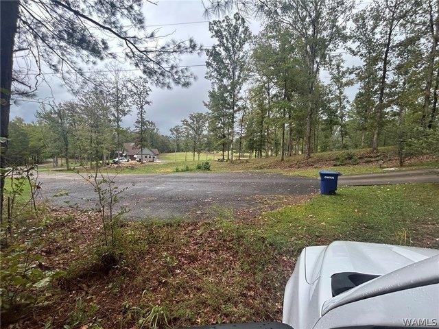 Land for sale in Reform, Pickens County