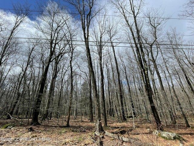 Apartment for rent in Newfoundland, Pennsylvania