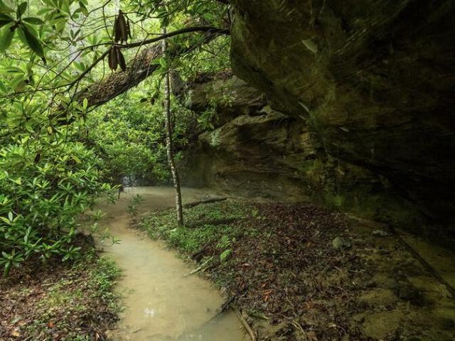 Land for sale in Zoe, Lee County