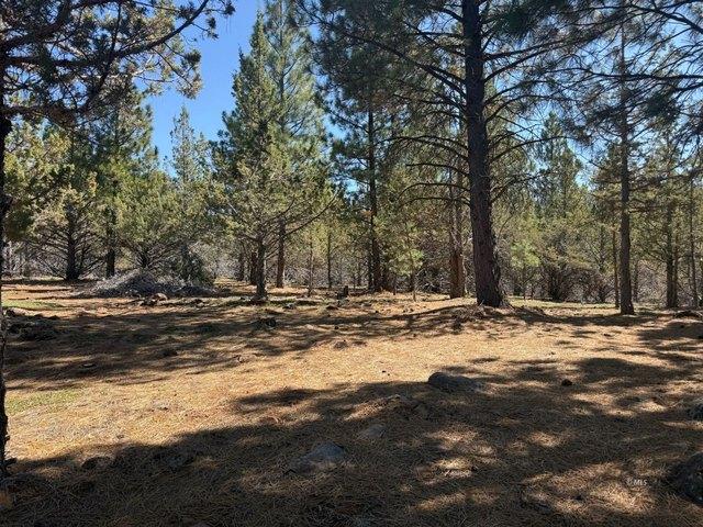 Land for sale in Davis Creek, Modoc County
