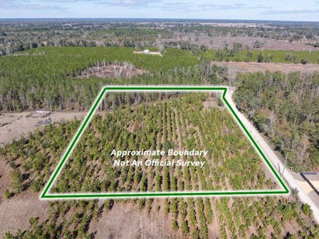 Land for sale in Suwannee, Florida