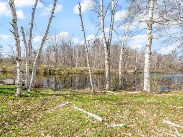 Land for sale in Barryton, Michigan